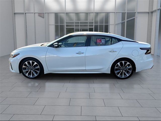 2023 Nissan Maxima Platinum