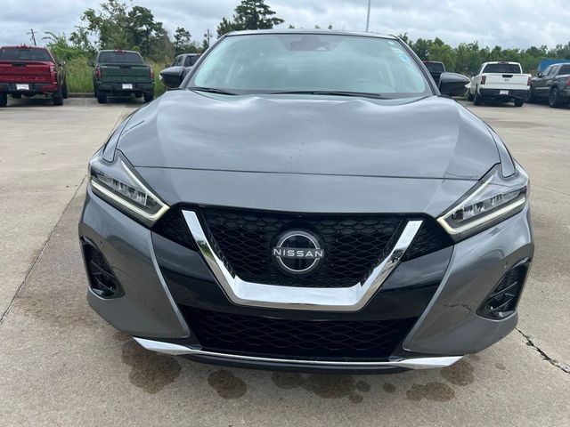 2023 Nissan Maxima Platinum