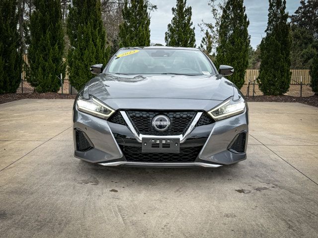 2023 Nissan Maxima SL