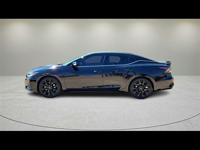 2023 Nissan Maxima SR