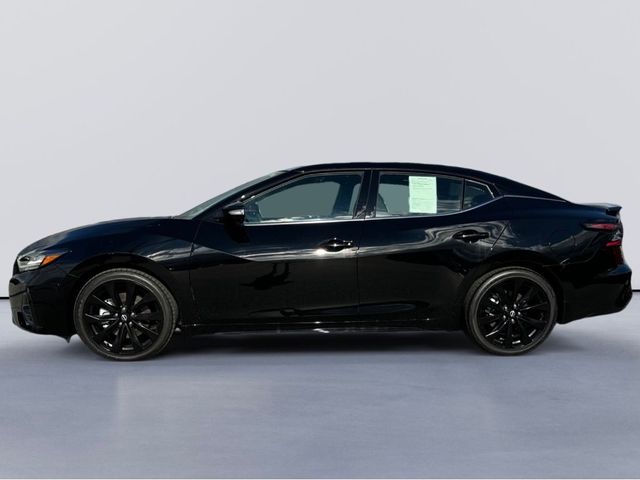 2023 Nissan Maxima SR