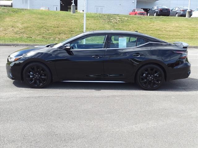 2023 Nissan Maxima SR