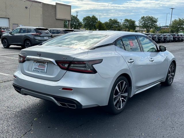 2023 Nissan Maxima SV