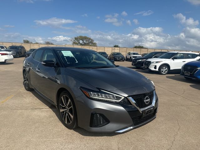 2023 Nissan Maxima SV