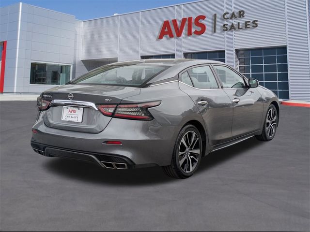 2023 Nissan Maxima SV