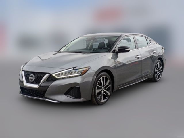 2023 Nissan Maxima SV