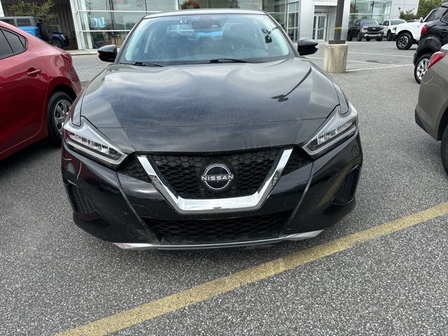 2023 Nissan Maxima SV