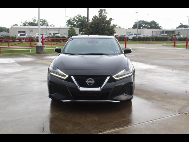 2023 Nissan Maxima SV