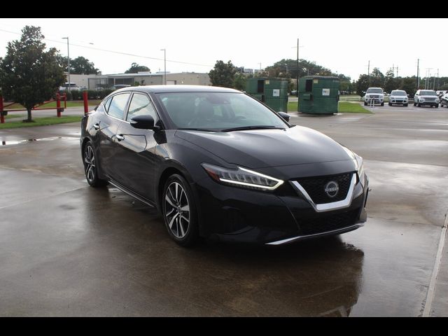 2023 Nissan Maxima SV