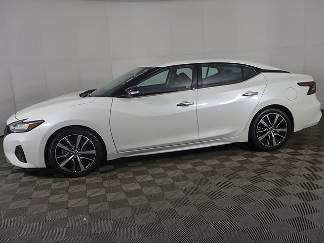 2023 Nissan Maxima SV