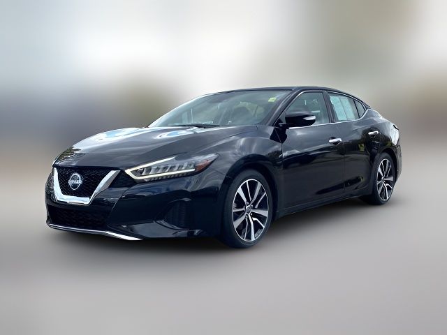 2023 Nissan Maxima SV