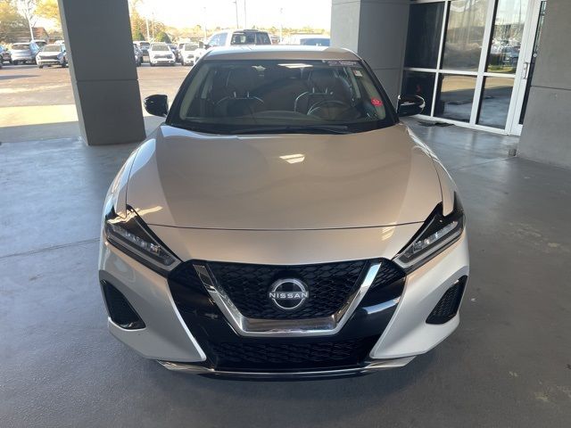 2023 Nissan Maxima SV