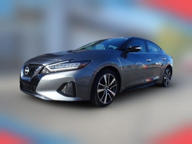 2023 Nissan Maxima SV