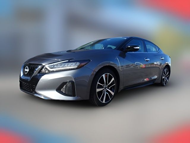 2023 Nissan Maxima SV