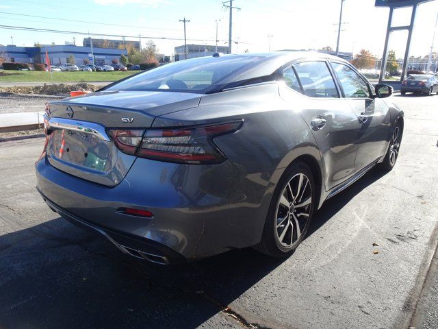 2023 Nissan Maxima SV