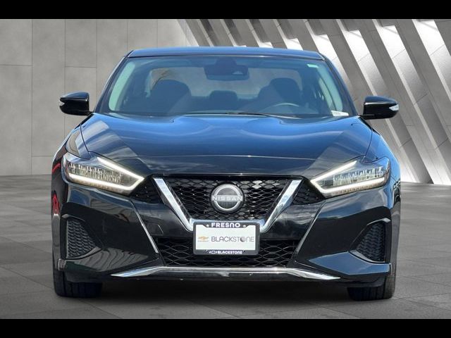 2023 Nissan Maxima SV