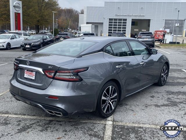 2023 Nissan Maxima SV