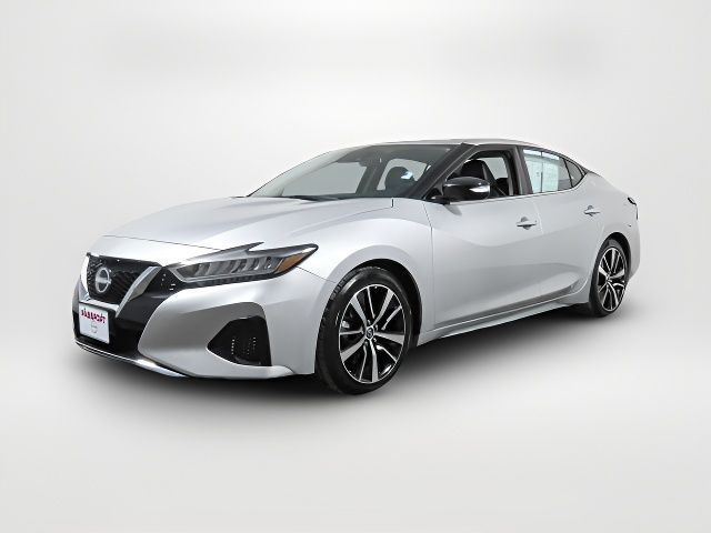 2023 Nissan Maxima SV