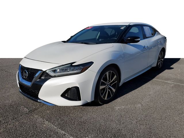 2023 Nissan Maxima SV