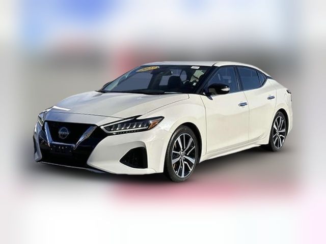 2023 Nissan Maxima SV