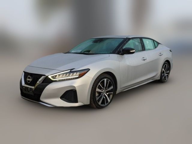 2023 Nissan Maxima SV