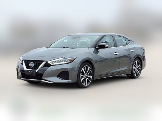 2023 Nissan Maxima SV