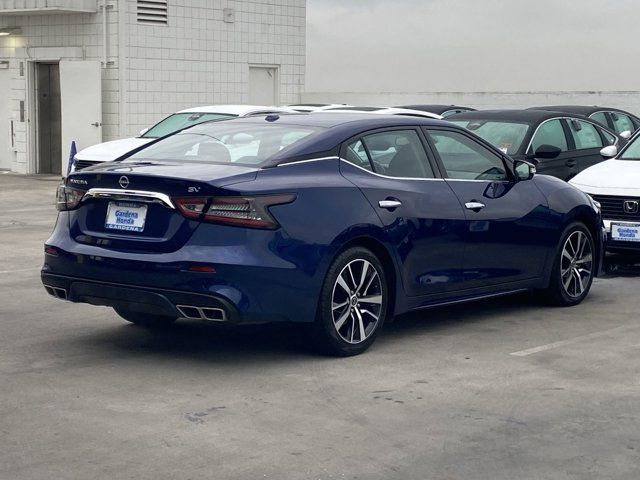 2023 Nissan Maxima SV