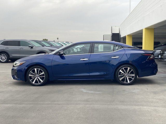 2023 Nissan Maxima SV