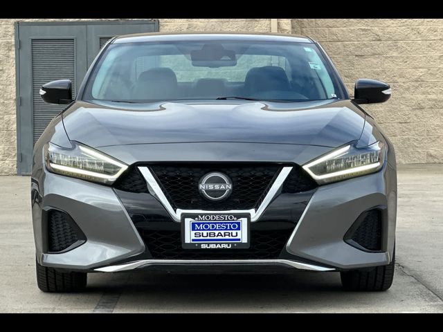 2023 Nissan Maxima SV