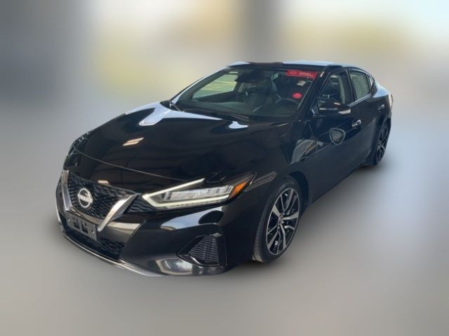 2023 Nissan Maxima SV