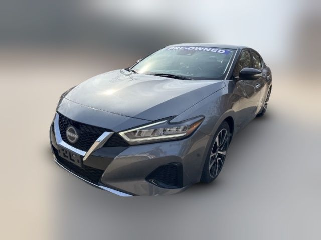 2023 Nissan Maxima SV