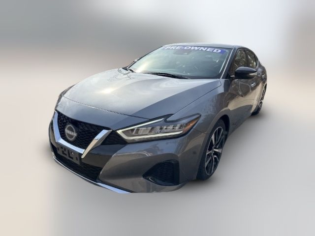 2023 Nissan Maxima SV