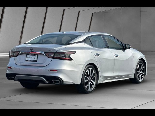 2023 Nissan Maxima SV