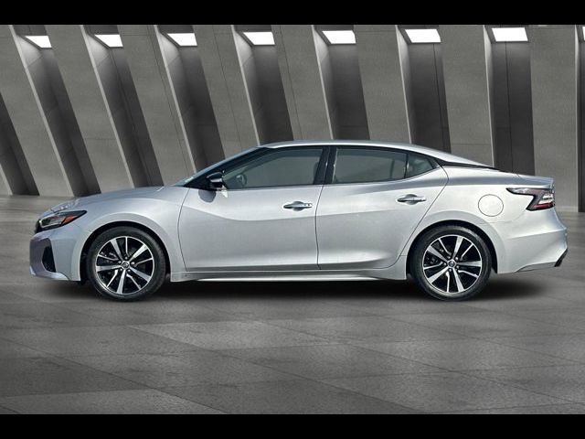 2023 Nissan Maxima SV