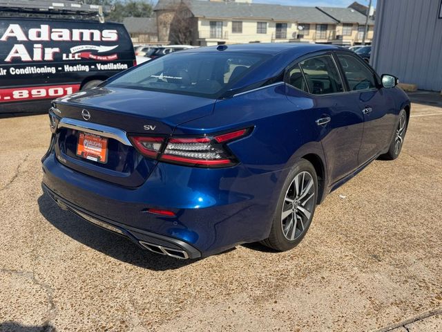 2023 Nissan Maxima SV