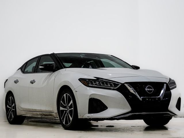 2023 Nissan Maxima SV