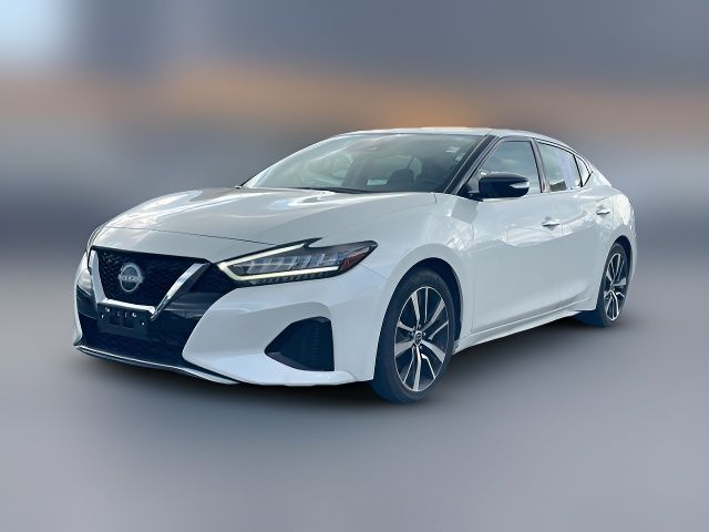 2023 Nissan Maxima SV