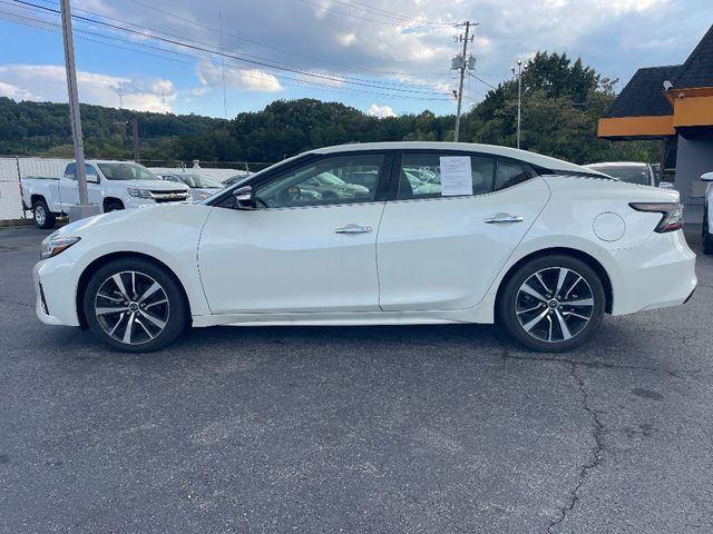 2023 Nissan Maxima SV