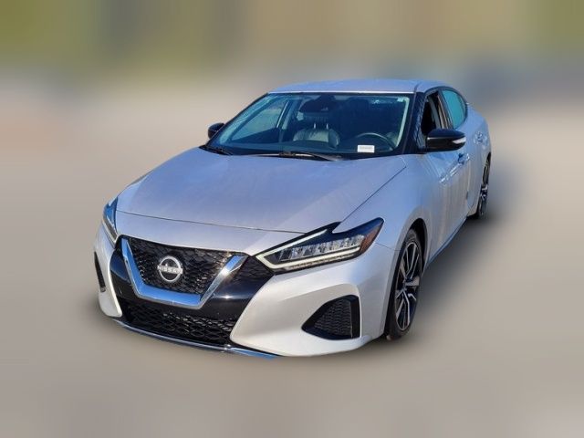 2023 Nissan Maxima SV