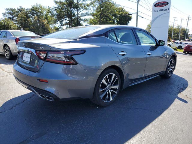 2023 Nissan Maxima SV