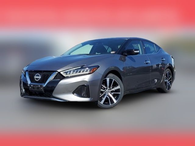 2023 Nissan Maxima SV