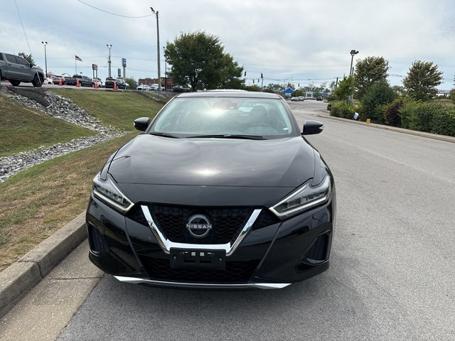 2023 Nissan Maxima SV