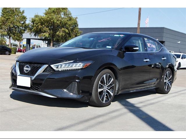 2023 Nissan Maxima SV