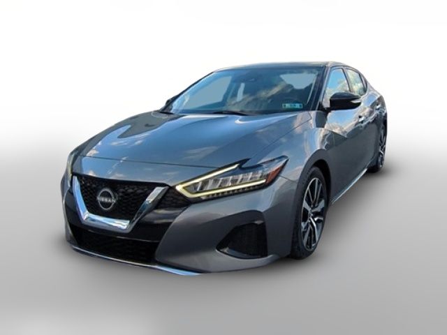 2023 Nissan Maxima SV