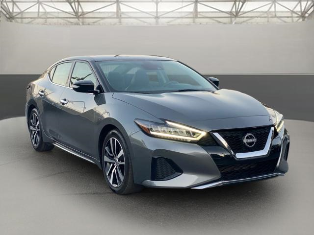 2023 Nissan Maxima SV