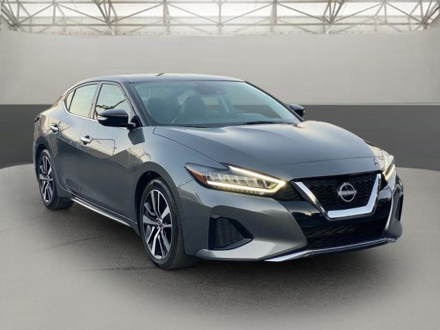 2023 Nissan Maxima SV