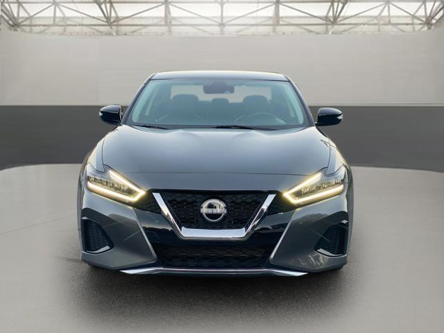 2023 Nissan Maxima SV