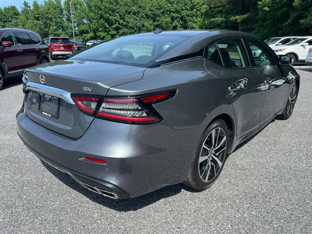 2023 Nissan Maxima SV