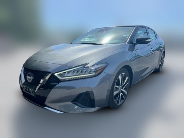 2023 Nissan Maxima SV