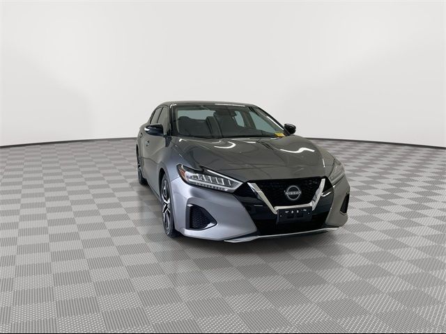 2023 Nissan Maxima SV